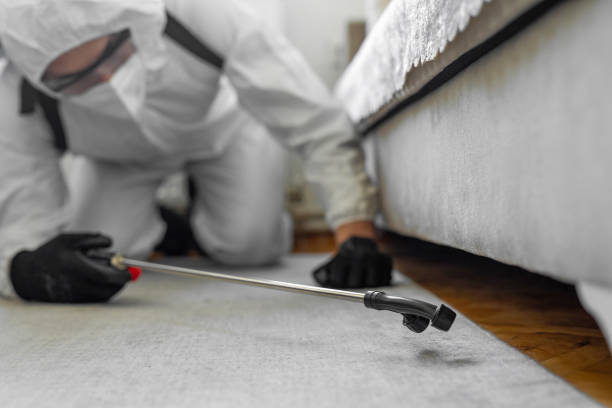 Professional Emergency Pest Control technician working in Holiday City South, NJ