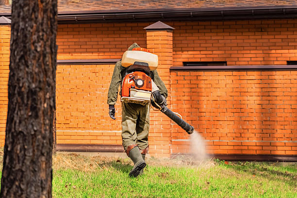 Trusted Ant Control service in Holiday City South, NJ - Nex Pest Control